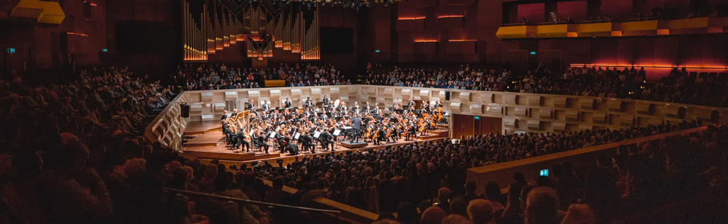 De Doelen Publiek & Impact Dashboard (1)