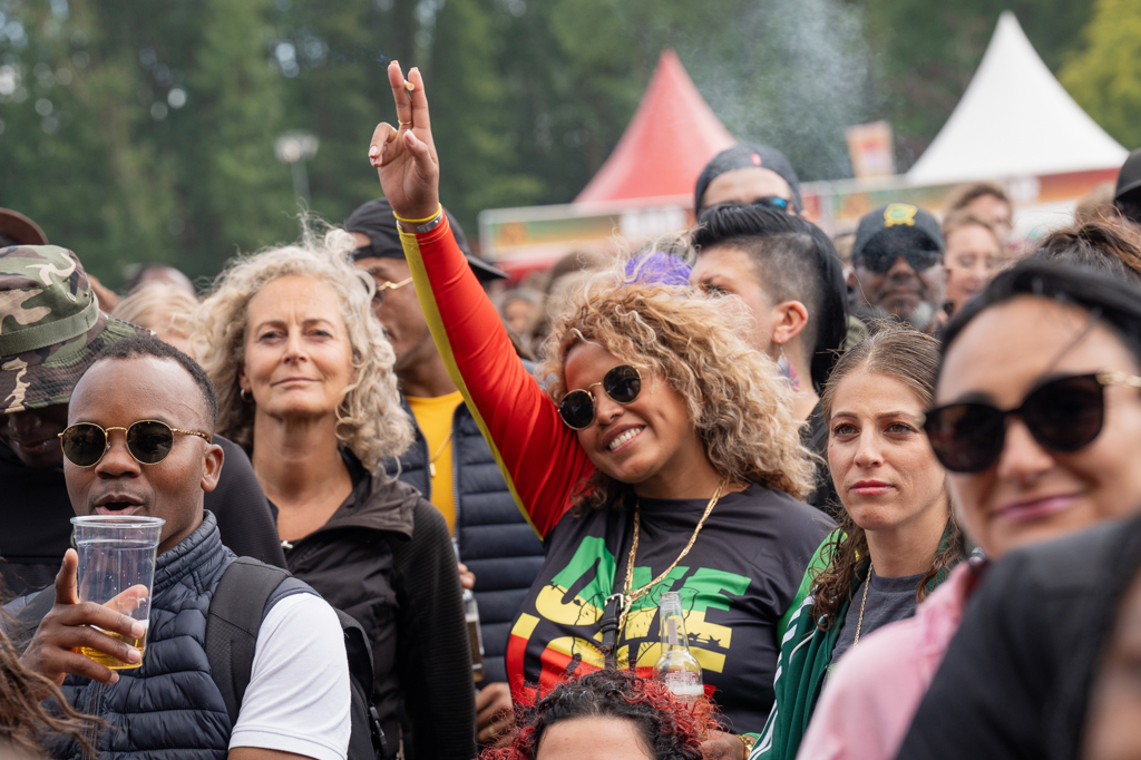 Reggae Woods 136 Reggae Woods 136