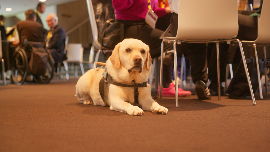 Hulphond Credits Michae Êl Van Overmeire